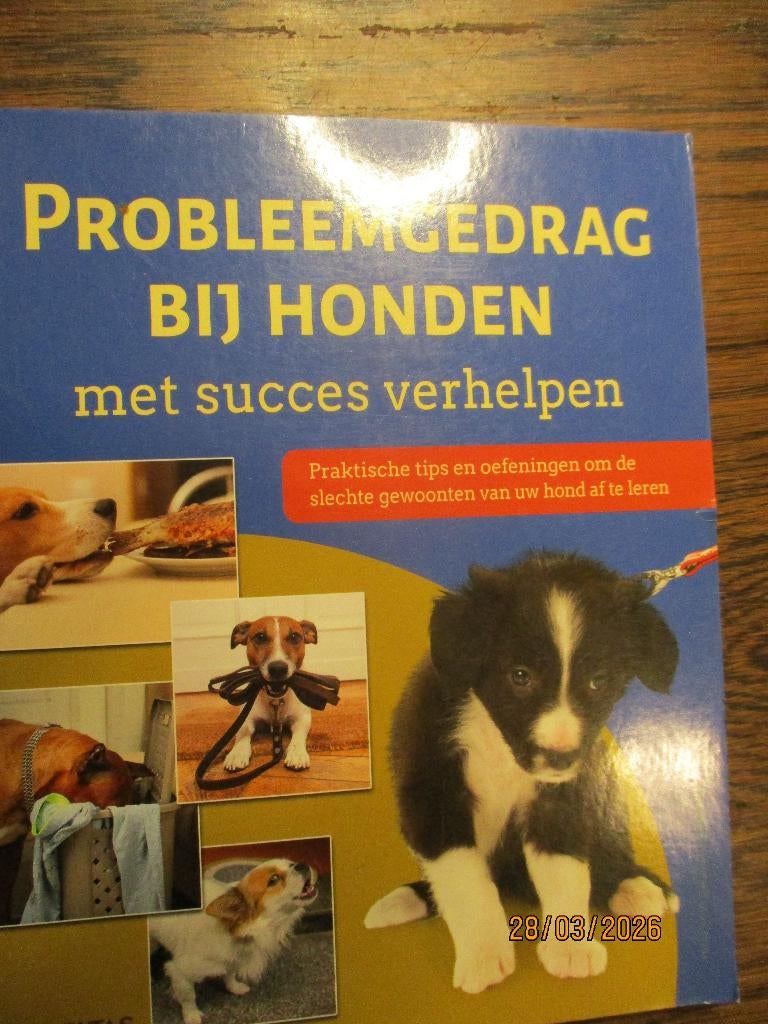 Probleemgedrag bij honden  Petra Krivy 9789044749342 #, Ophalen of Verzenden, Gelezen, Honden
