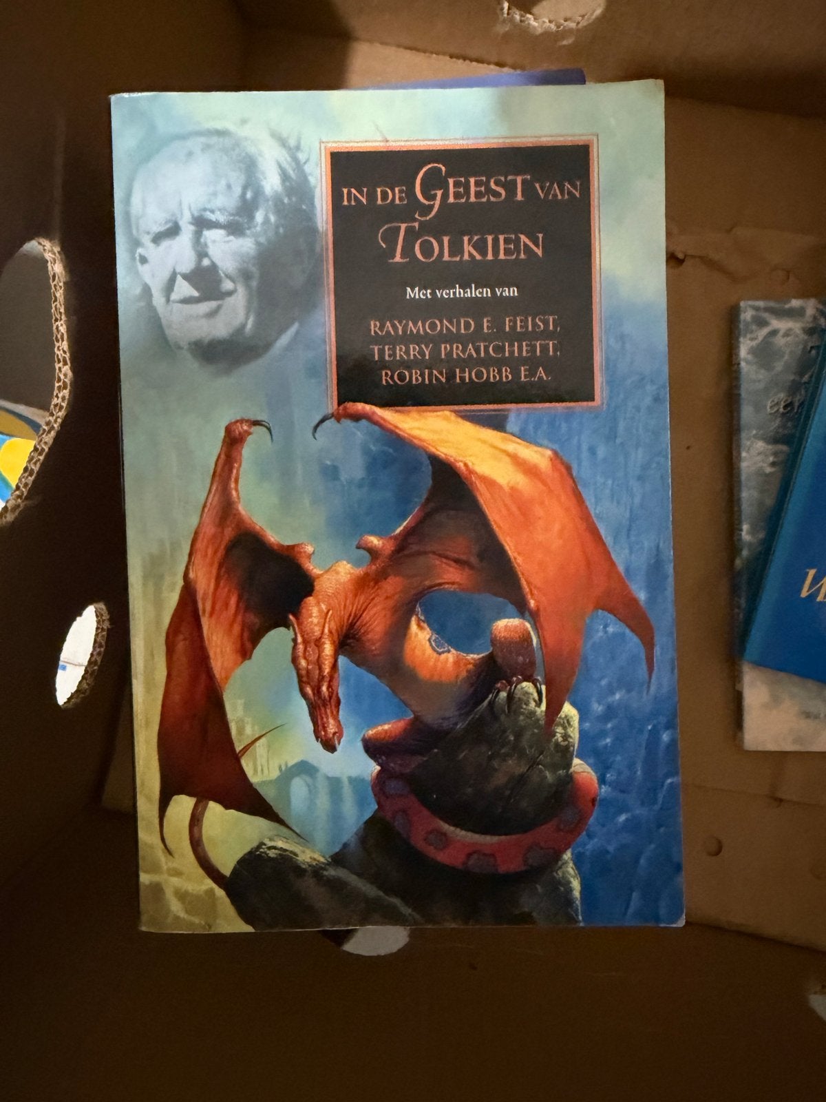 In de Geest van Tolkien - Fantasy verhalenbundel, Ophalen, Gelezen