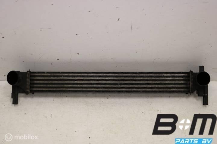 Laadluchtkoeler VW Polo 6R 1.6 TDI CAY 6R0145805, Gebruikt