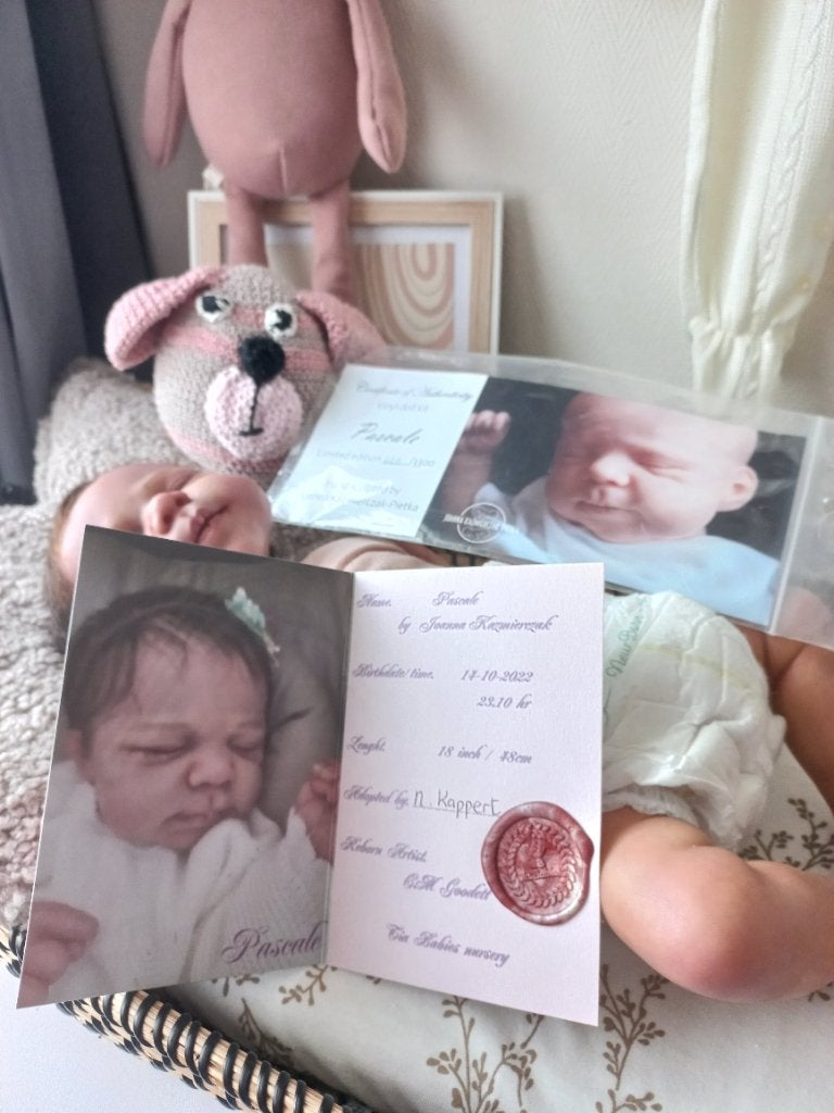 Reborn poppen, Ophalen of Verzenden, Zo goed als nieuw, Pop, Levensecht of Reborn