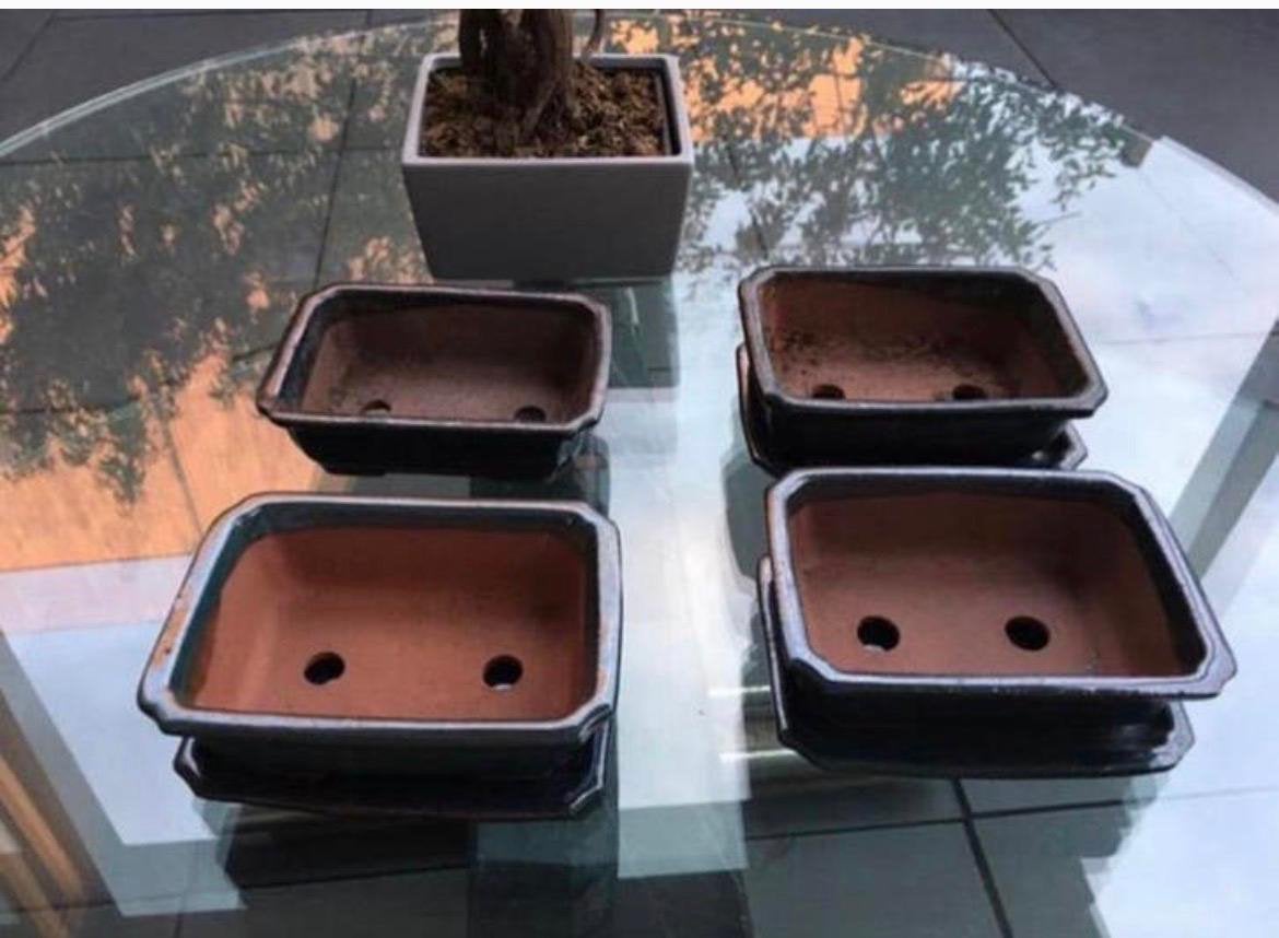 Nieuwe geglazuurde bonsai bloempotten met schalen, Ophalen of Verzenden, Terracotta, Rechthoekig, Binnen