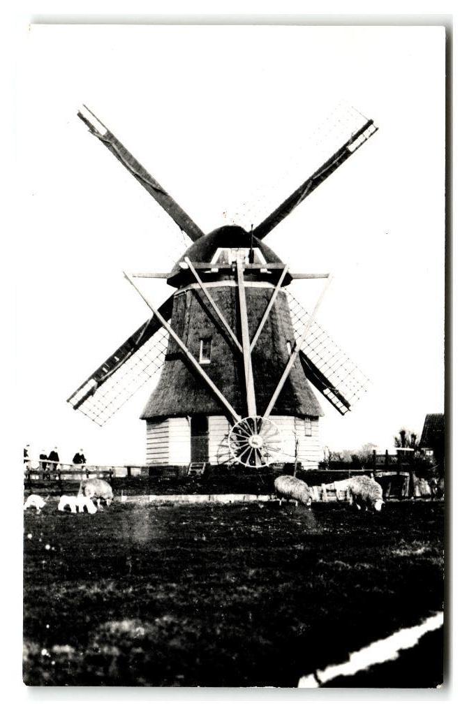 Krommenie, Meelmolen "De Palmboom", Verzenden, 1960 tot 1980, Ongelopen, Noord-Holland