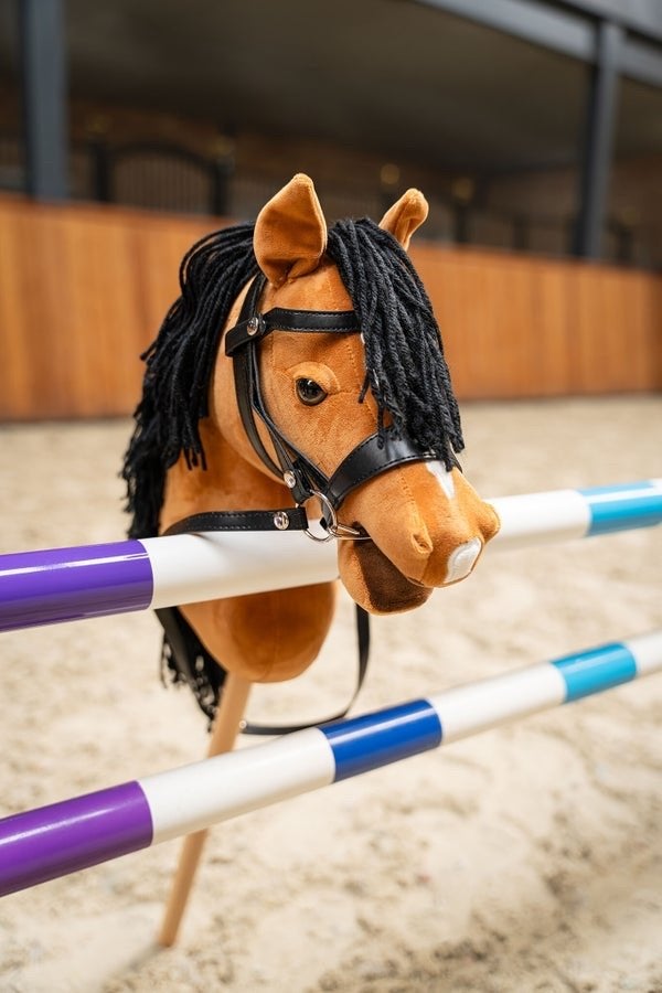 Realistisch Stokpaard voor Hobby Horsing - Bruin, Ophalen of Verzenden, Nieuw, Jongen of Meisje