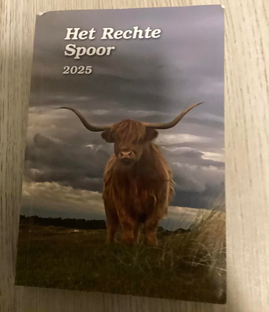 Het Rechte Spoor..mooi religieus boek, Antiek en Kunst, Antiek | Religie, Ophalen of Verzenden