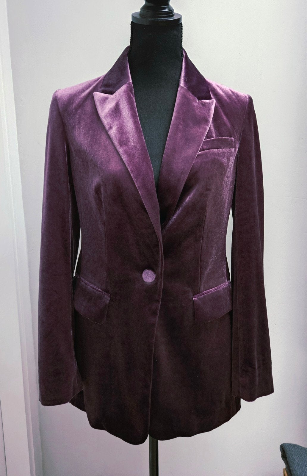 Prachtig zgan velvet blazer van WE, maat 36 (S), Aubergine, Overige kleuren, WE, Ophalen of Verzenden, Zo goed als nieuw