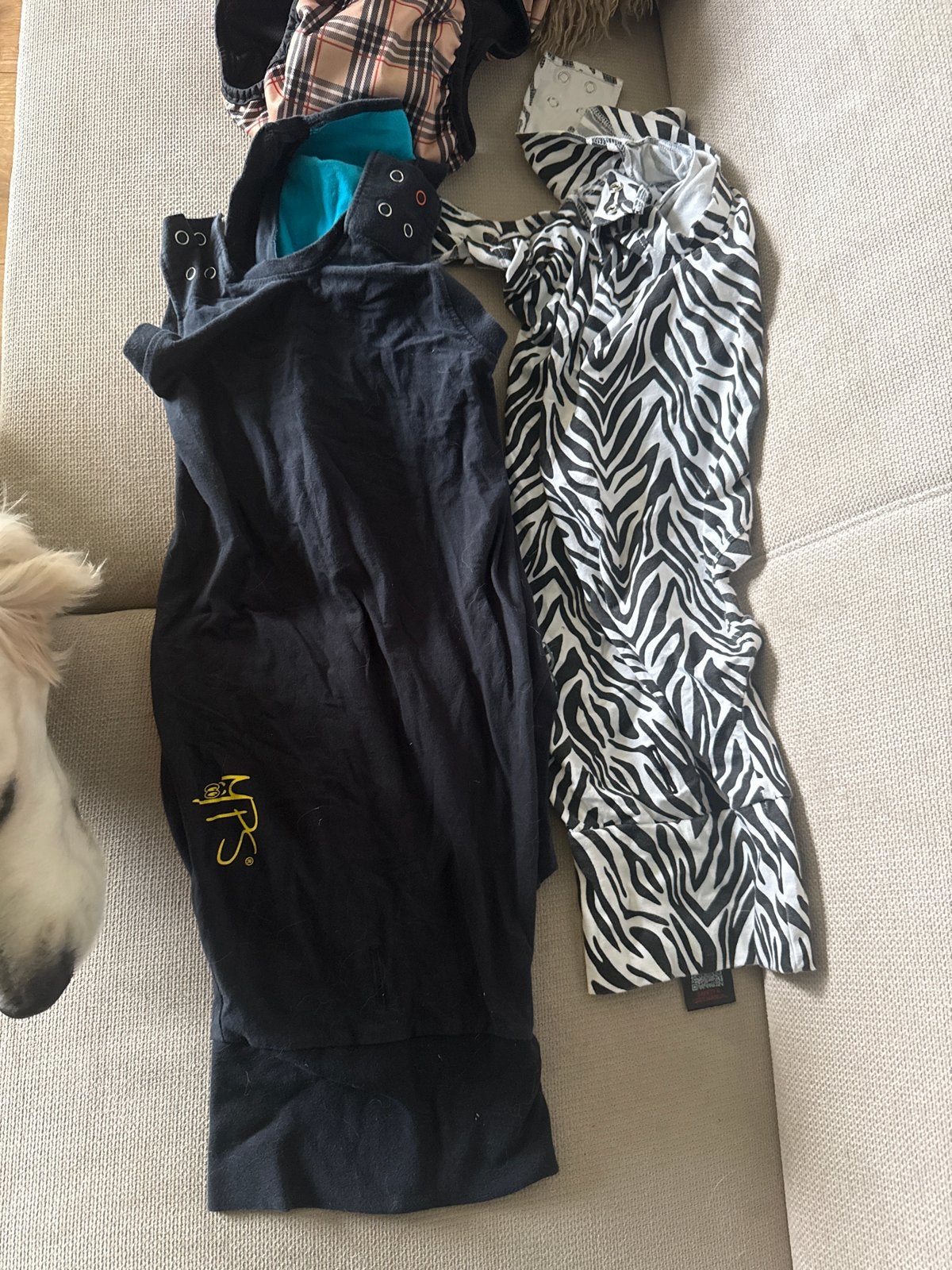 2 x Romper hond, Ophalen of Verzenden, Nieuw
