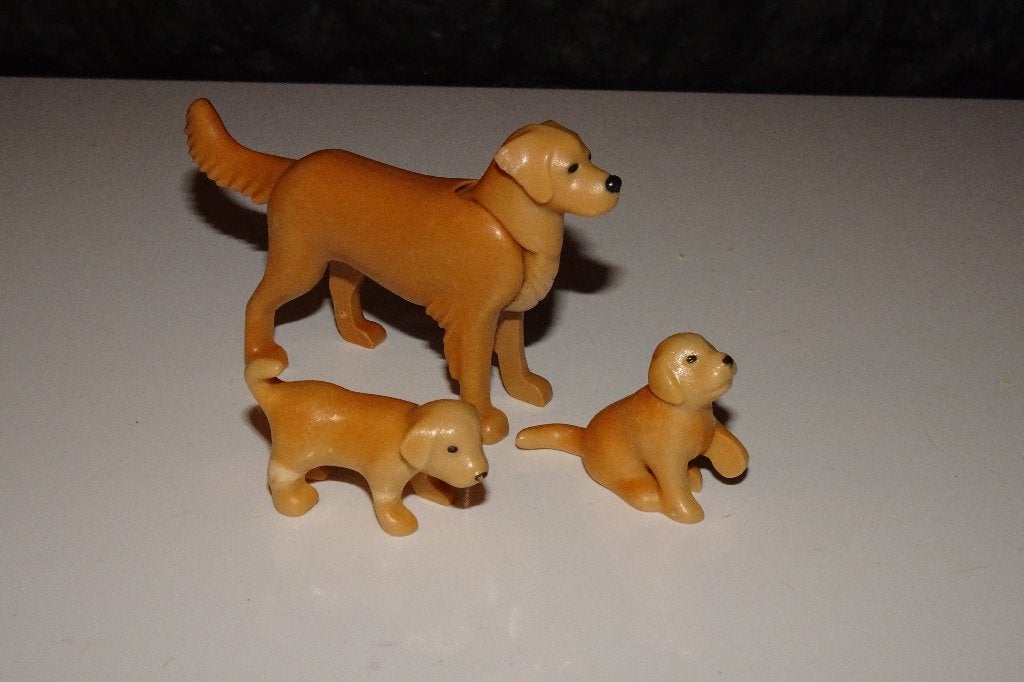 12 - Golden retrievers honden 3176, Ophalen of Verzenden