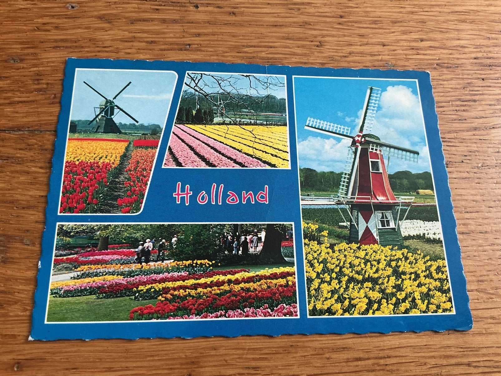 V571 Holland molen molens bloembollenvelden, Ophalen of Verzenden, Zuid-Holland