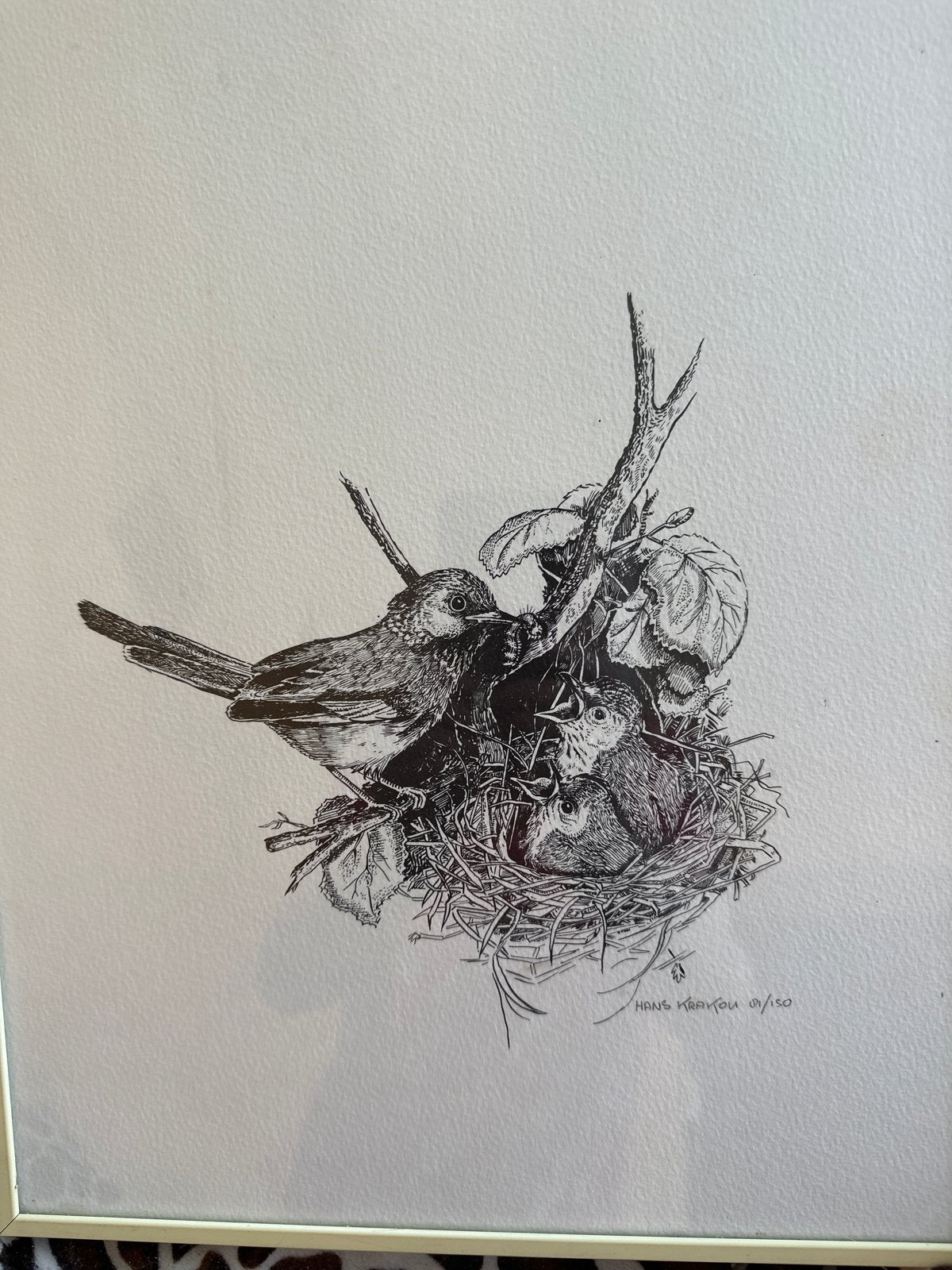 Hans Krakou - Voedende vogels in nest (10/150), Antiek en Kunst, Ophalen, Print, Prent, Genummerd