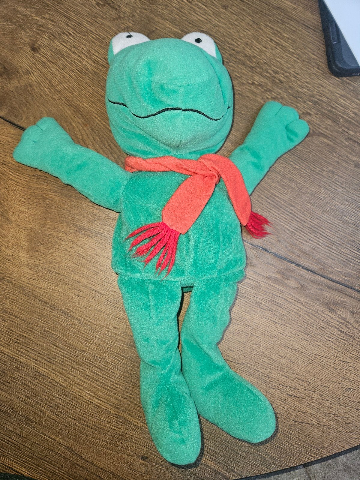 Kikker en zijn vriendjes handpop, Ophalen of Verzenden, Zo goed als nieuw, Kikker
