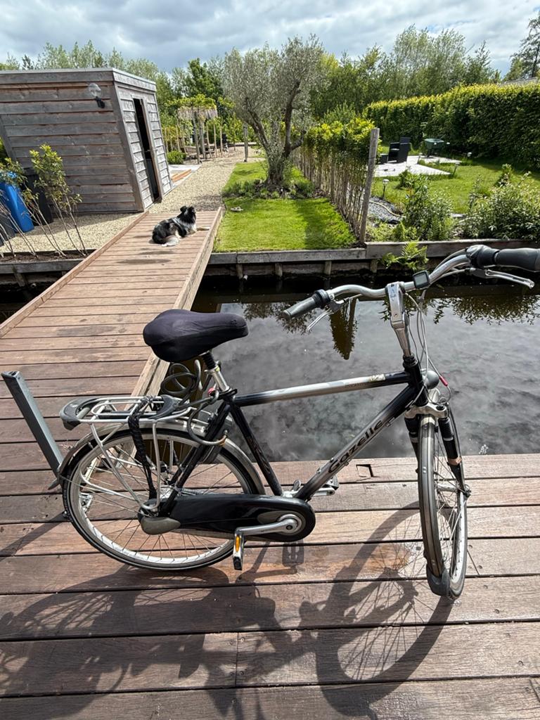 Gazelle Orange Herenfiets 53 cm | Shimano Nexus 7 | Rijklaar, Versnellingen, Ophalen of Verzenden, Zo goed als nieuw, Gazelle