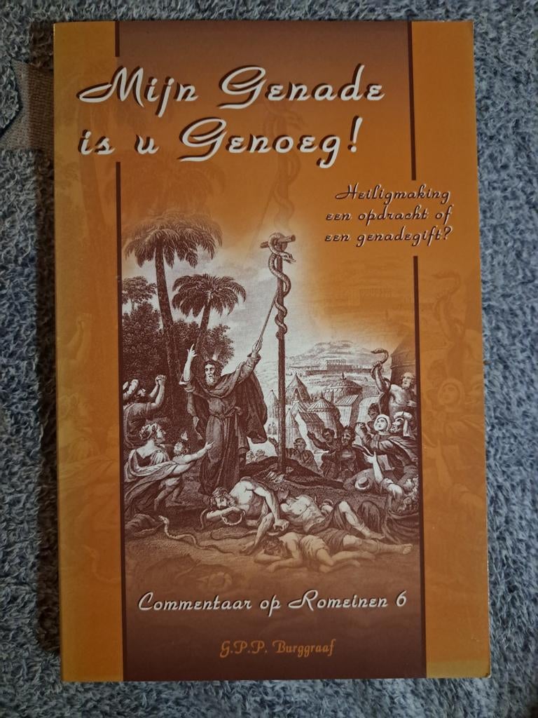 Boek Mijn genade is u genoeg, Ophalen of Verzenden, Zo goed als nieuw, G.P.P. Burggraaf