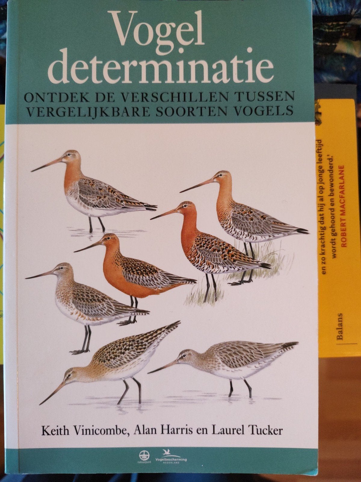 Vogeldeterminatie: Ontdek de verschillen tussen vogels, Boeken, Ophalen of Verzenden, Zo goed als nieuw, Vogels, Keith Vinicombe, Alan Harris en Laurel Tucker