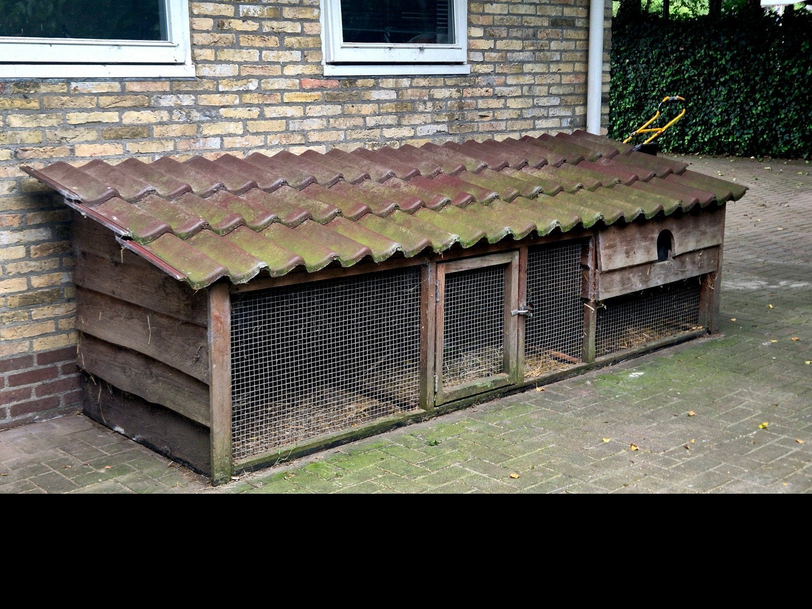 Groot stevig houten konijnenhok of kippenhok, Ophalen, 90 cm of meer, Konijn, Hok