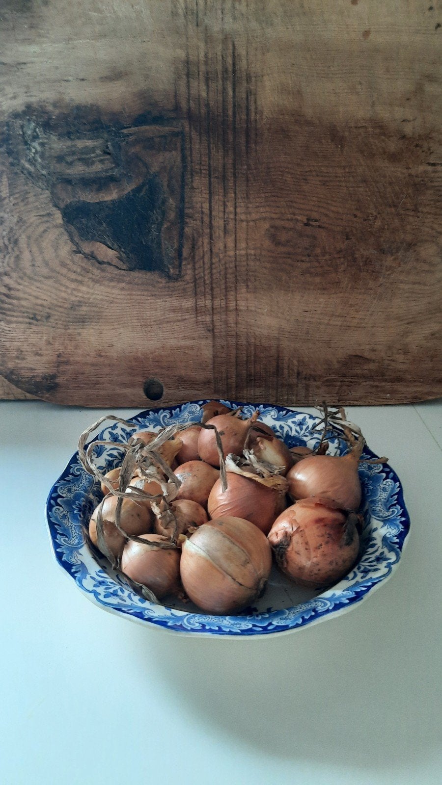 grote schaal (nuzzelspul), Ophalen of Verzenden