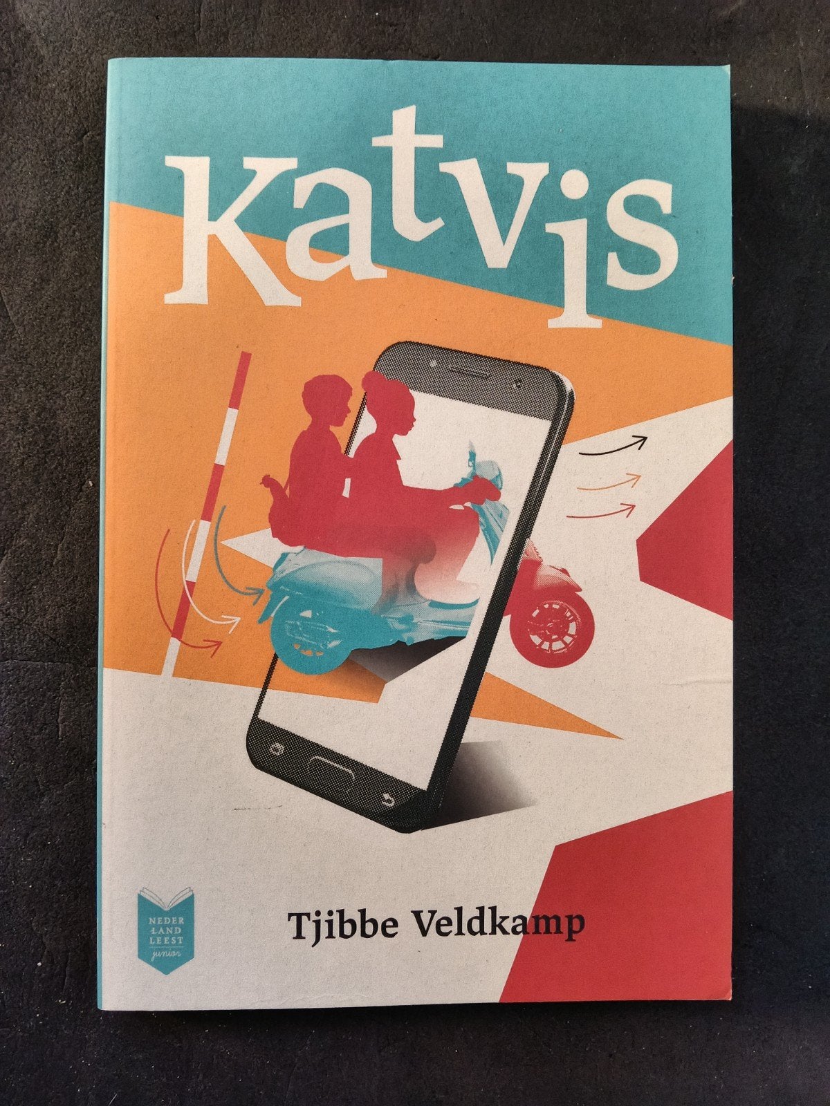 Katvis - Tjibbe Veldkamp (Nederland Leest Junior), Boeken, Ophalen of Verzenden, Zo goed als nieuw, Tjibbe Veldkamp, Nederland
