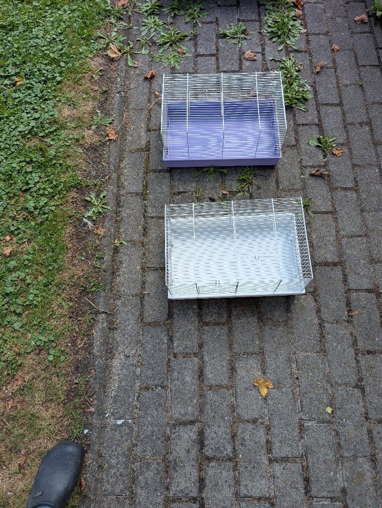 Hamsterkooi, Kooi, Gebruikt, Minder dan 75 cm, Cavia
