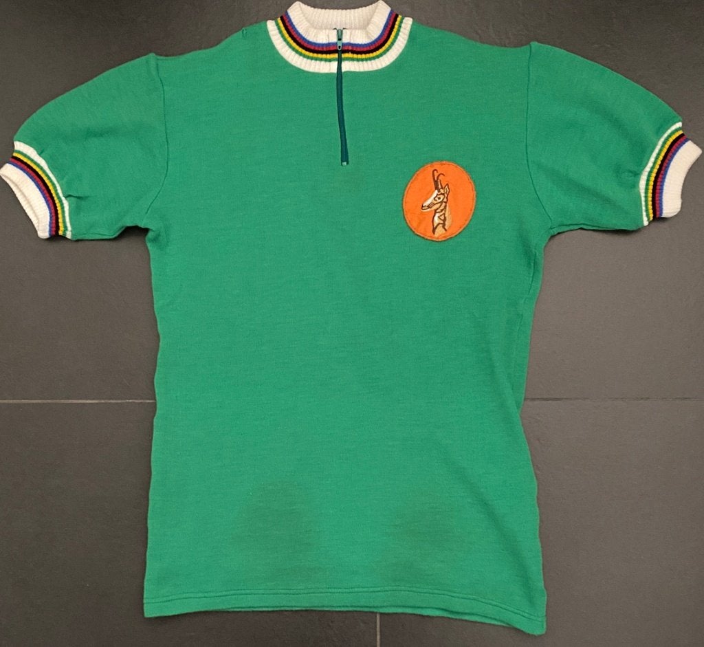 Wollen groene vintage wielertrui/leiderstrui met logo gems, Ophalen of Verzenden, Overige typen