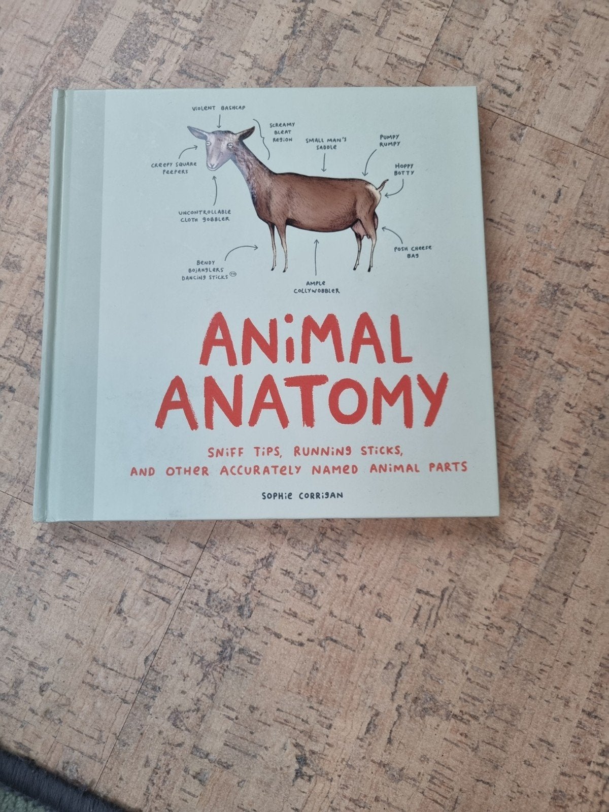 Animal anatomy, Ophalen, Nieuw, Sophie Corrigan, Fictie