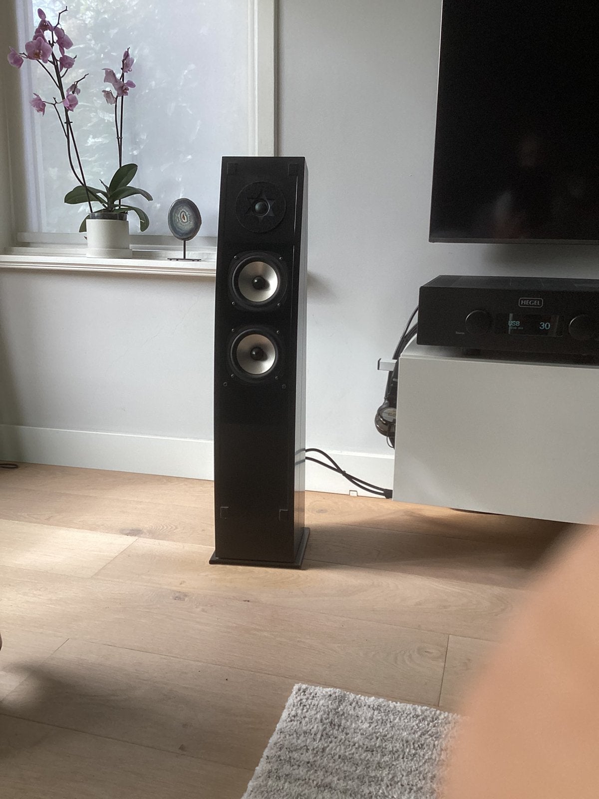 Te koop Floating Cameleon Princess, zie foto’s voor details, Audio, Tv en Foto, Vloerstaande luidspreker, Gebruikt, Ophalen, 150 watt of meer