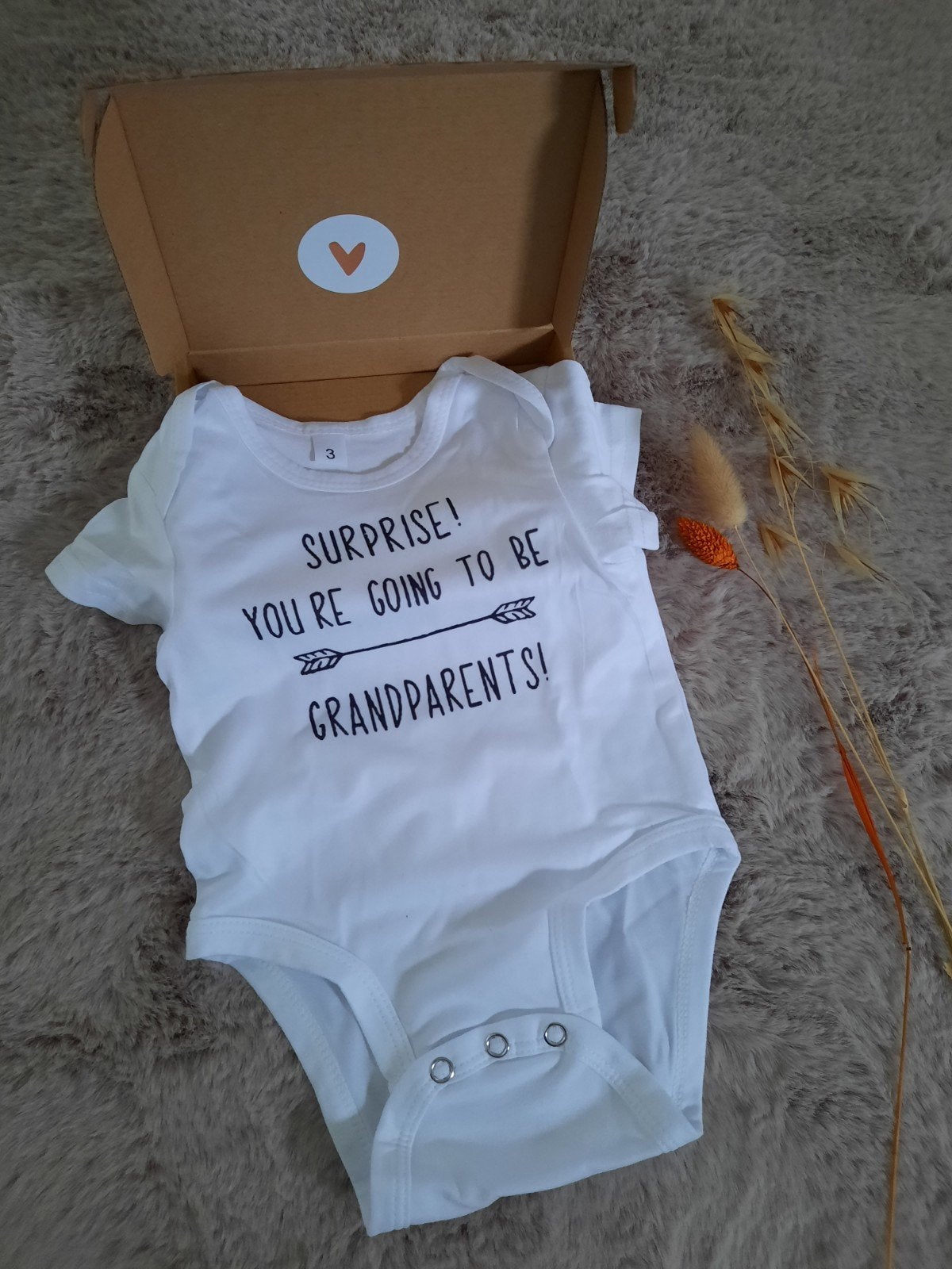 Romper met tekst Surprise! you re going to be grandparents!, Kinderen en Baby's, Ophalen of Verzenden, Nieuw, Kraamcadeau