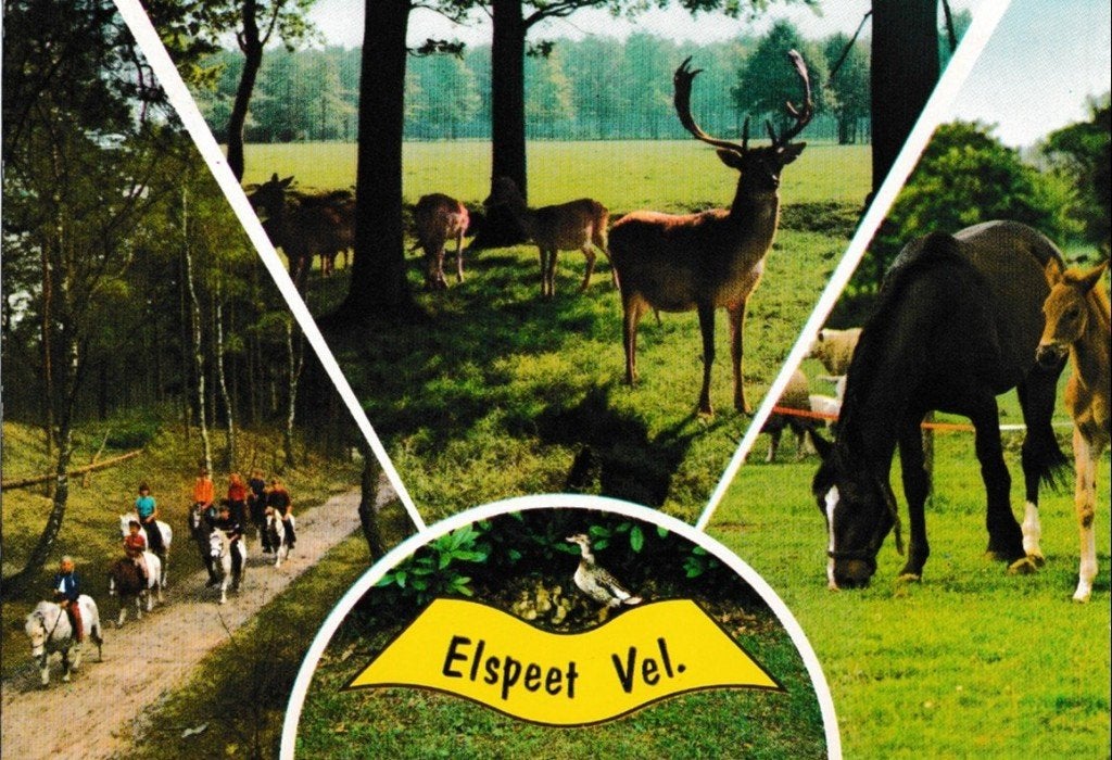 Elspeet              439, Ophalen of Verzenden, Voor 1920