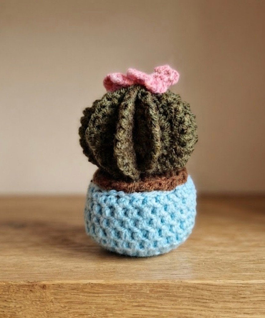 gehaakte cactus plant, Verzenden, Nieuw