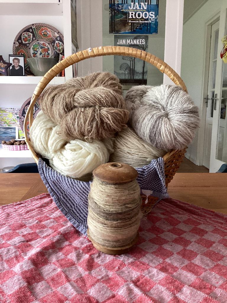 Schapenvacht, Ophalen, Nieuw, Spinwol
