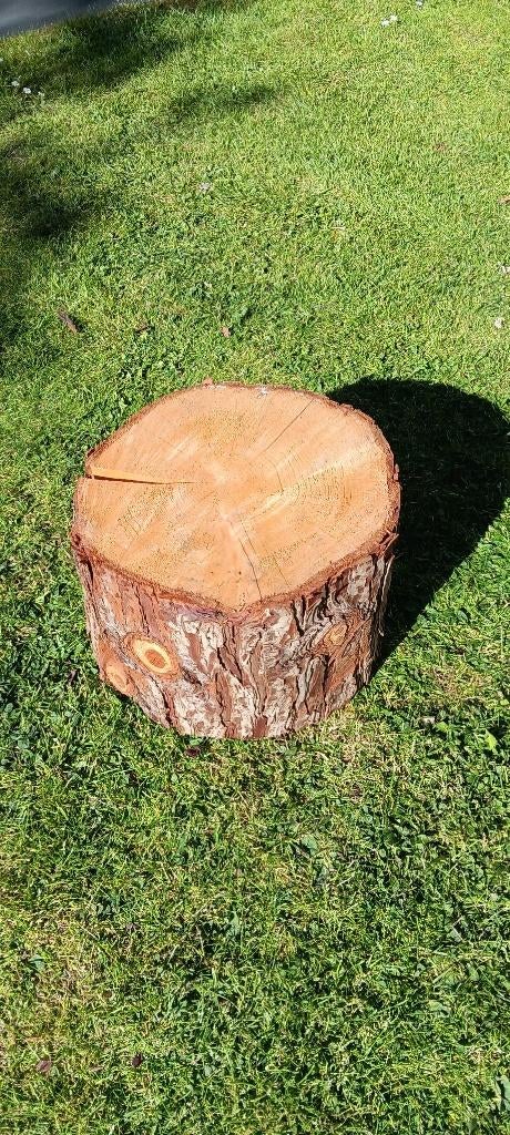 Boomstam schijven, Ophalen, Overige kleuren, 25 tot 50 cm, Zo goed als nieuw