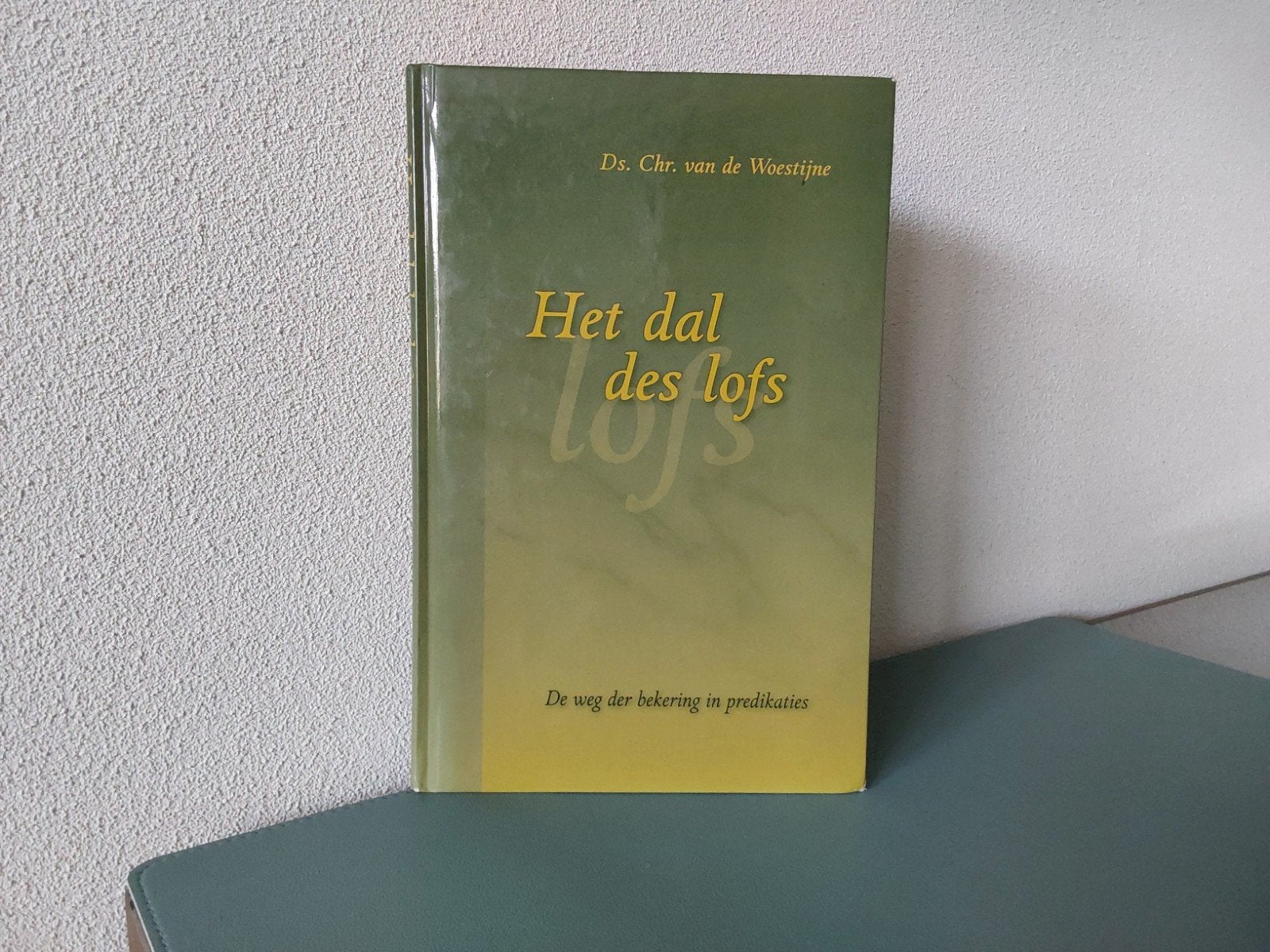 Ds C. van de Woestijne,  predikaties, Gelezen, Christendom | Protestants, Ophalen of Verzenden, C. van de Woestijne