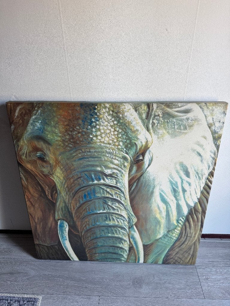 Canvas Olifant 100cm x 100cm, Huis en Inrichting, Woonaccessoires | Schilderijen, Tekeningen en Foto's, Ophalen, Zo goed als nieuw