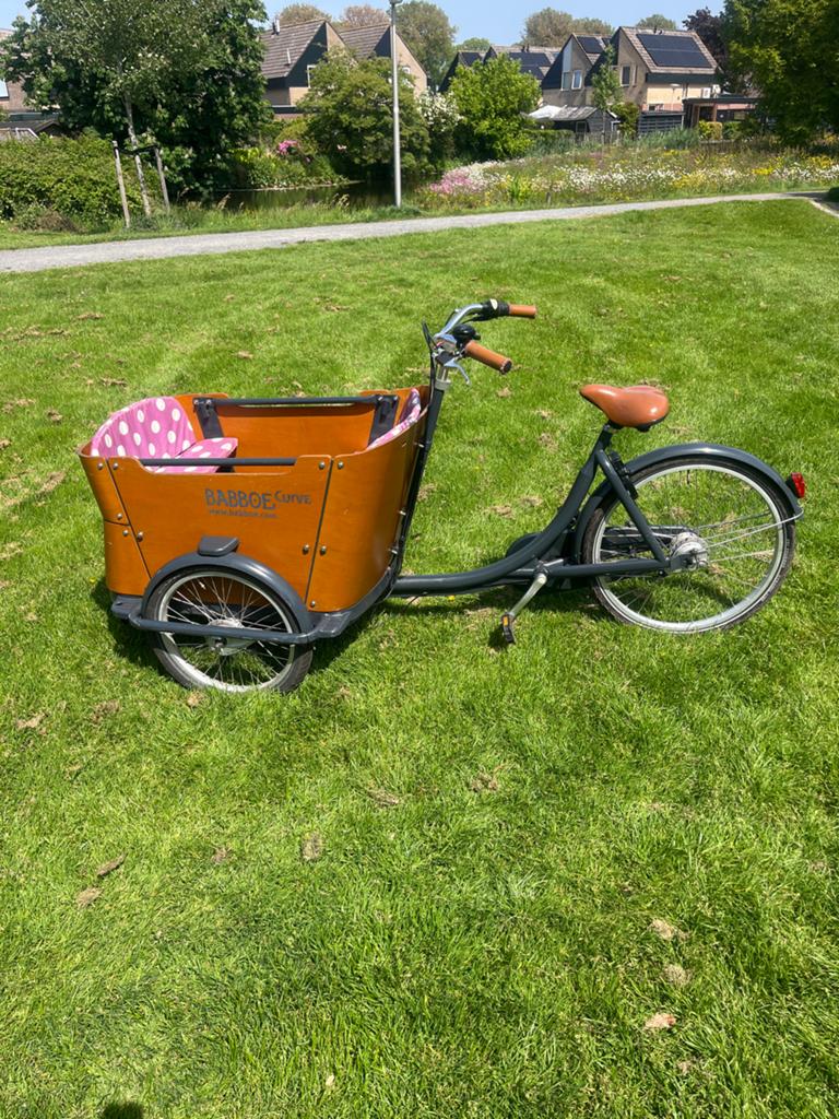 Babboe Curve Bakfiets - Perfect voor Gezinnen!, Ophalen, Gebruikt, Huif, 2 kinderen