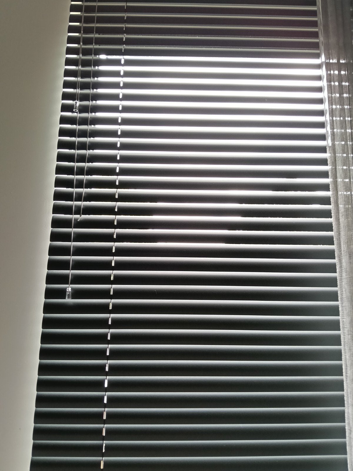 Zwarte jaloezieën en vliegengordijn, Ophalen of Verzenden, Gebruikt, 250 cm, Hout