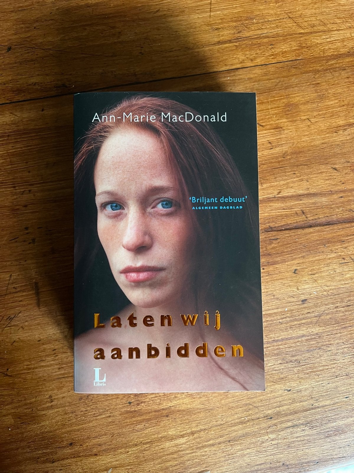 Laten wij aanbidden - Ann-Marie MacDonald (roman), Boeken, Ophalen of Verzenden, Zo goed als nieuw, Nederland