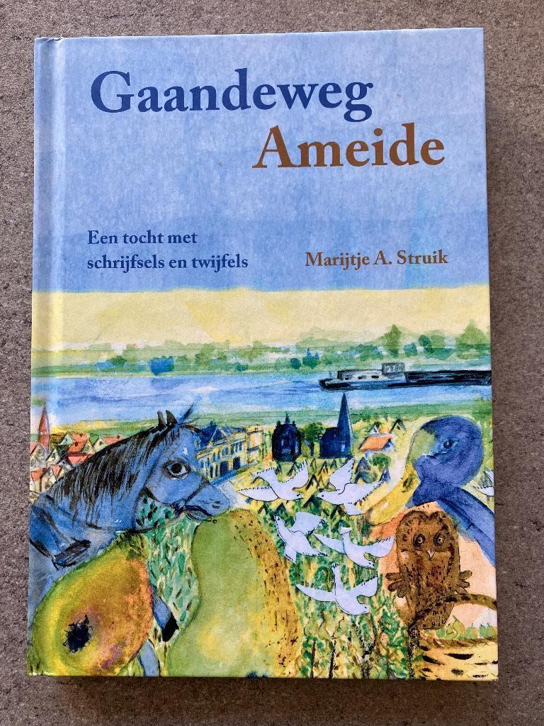 Gaandeweg Ameide, Boeken, Ophalen of Verzenden, Zo goed als nieuw, Marijtje A. Struik, Christendom | Protestants
