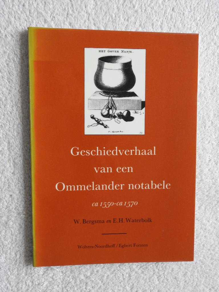 Geschiedverhaal van een Ommelander notabele ca 1550-ca. 1570, Boeken, Ophalen of Verzenden, Zo goed als nieuw