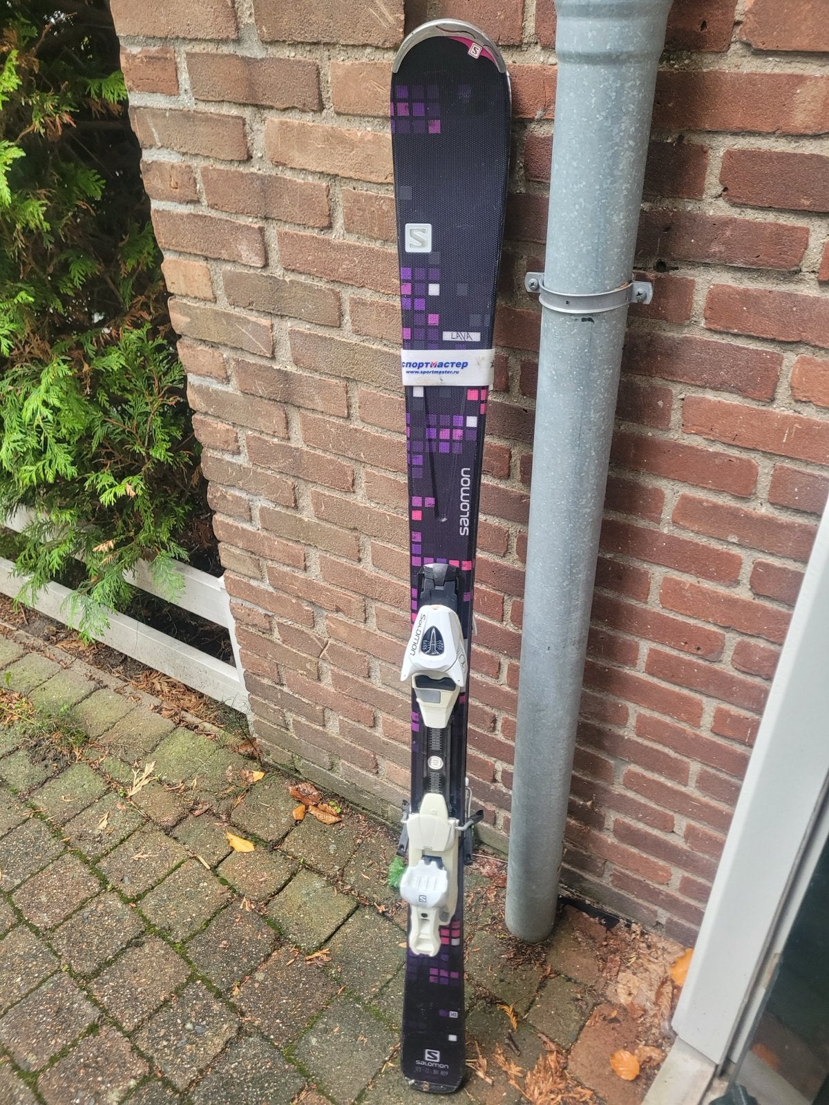 Salomon ski's, Ophalen, 140 tot 160 cm, Gebruikt, Salomon