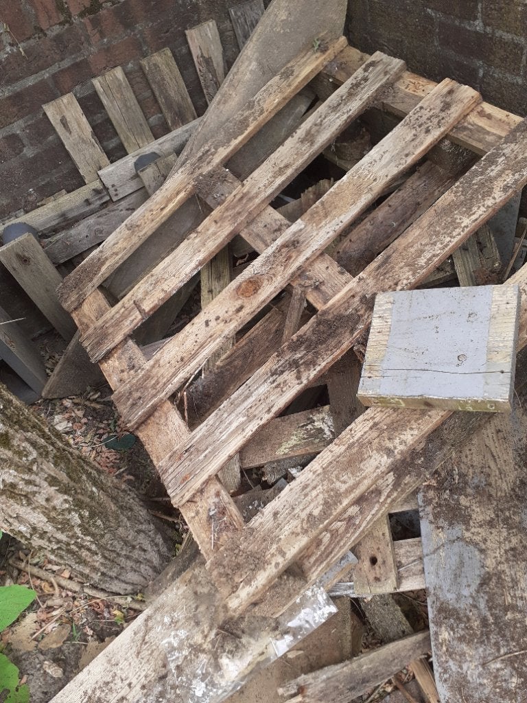 Brandhout  Gratis, Tuin en Terras, Minder dan 3 m³, Ophalen, Overige houtsoorten, Blokken