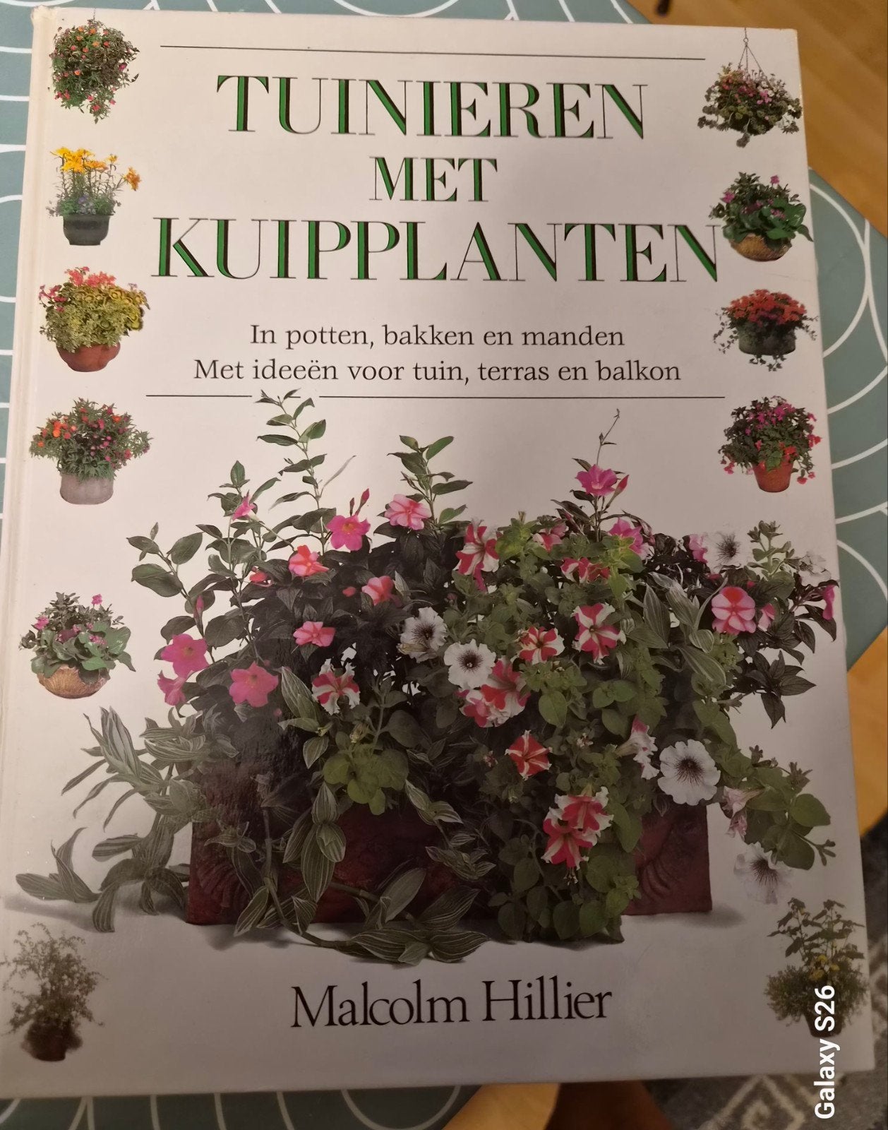 Tuinieren met Kuipplanten - Malcolm Hillier, Ophalen of Verzenden, Gelezen, Malcolm Hillier, Tuinieren en Tuinplanten