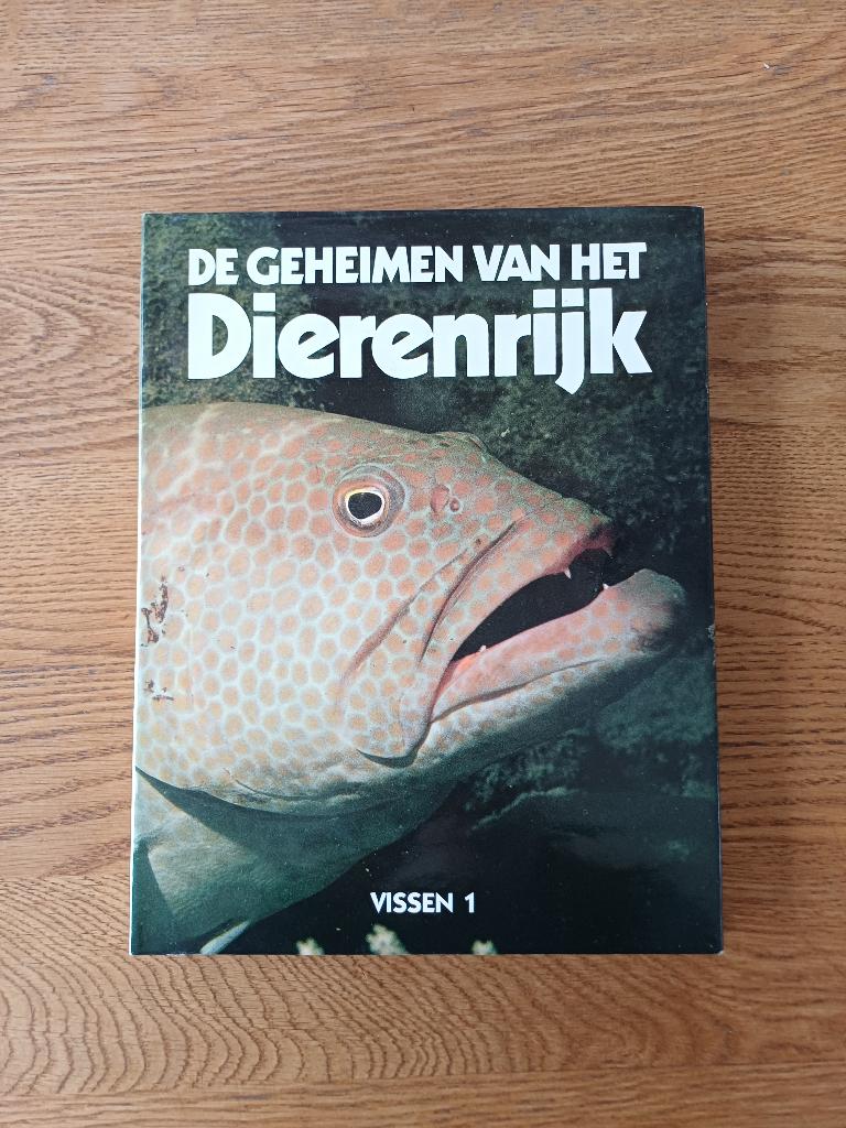 De geheimen van het dierenrijk - Vissen 1, Boeken, Ophalen of Verzenden, Gelezen, Overige diersoorten