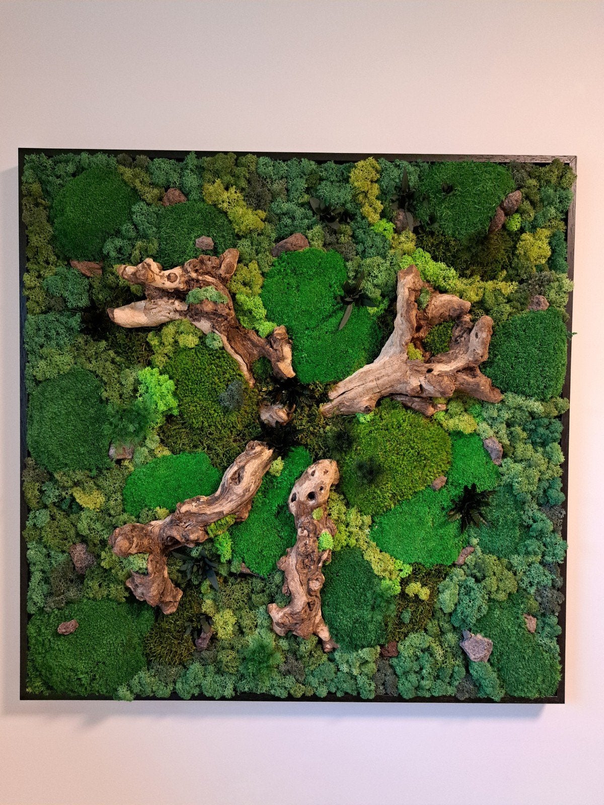 Mosschilderij 70 x 70 cm, Ophalen