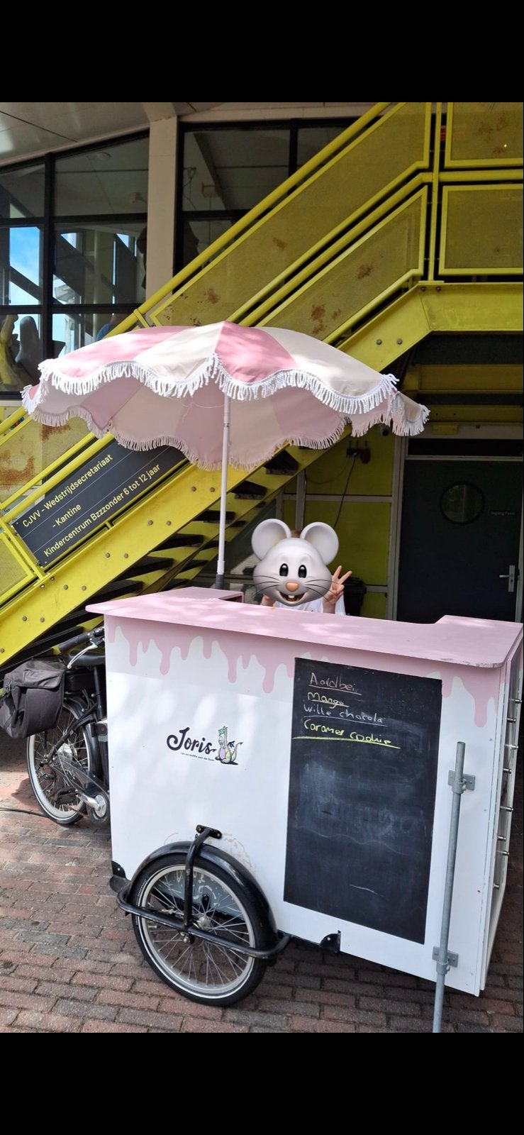 Elektrische bakfiets met vriezer - ideaal voor ijsverkoop, Ophalen, Gebruikt, Goederen, Elektrisch