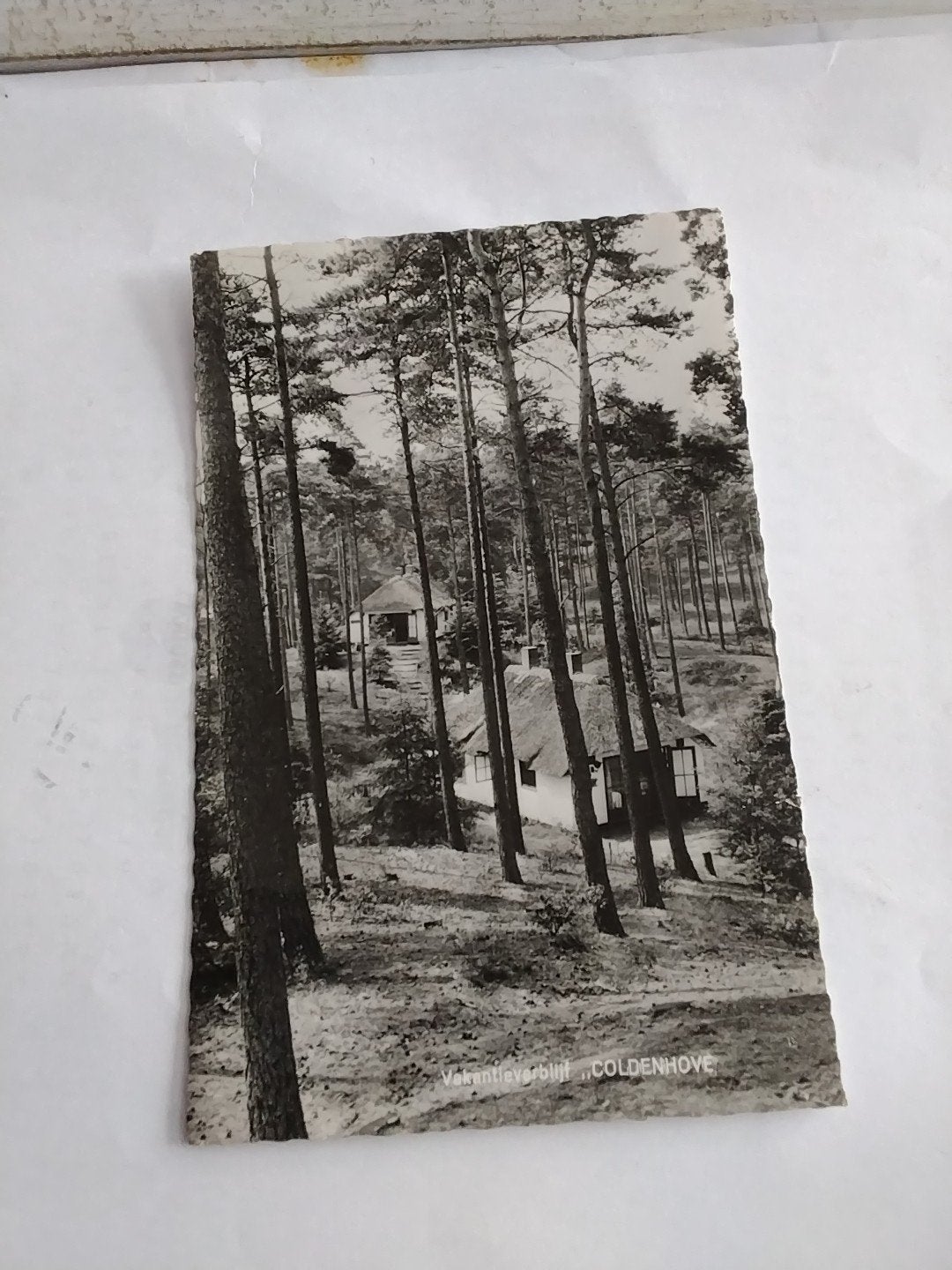 Oude ansichtkaart Vakantieverblijf Coldenhove Eerbeek, Ophalen of Verzenden, Voor 1920, Gelderland