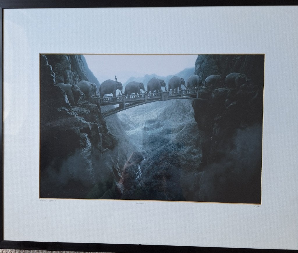 Foto, Thomas Herbrich, Antiek en Kunst, Ophalen of Verzenden, Foto, Fotografie, Achter glas