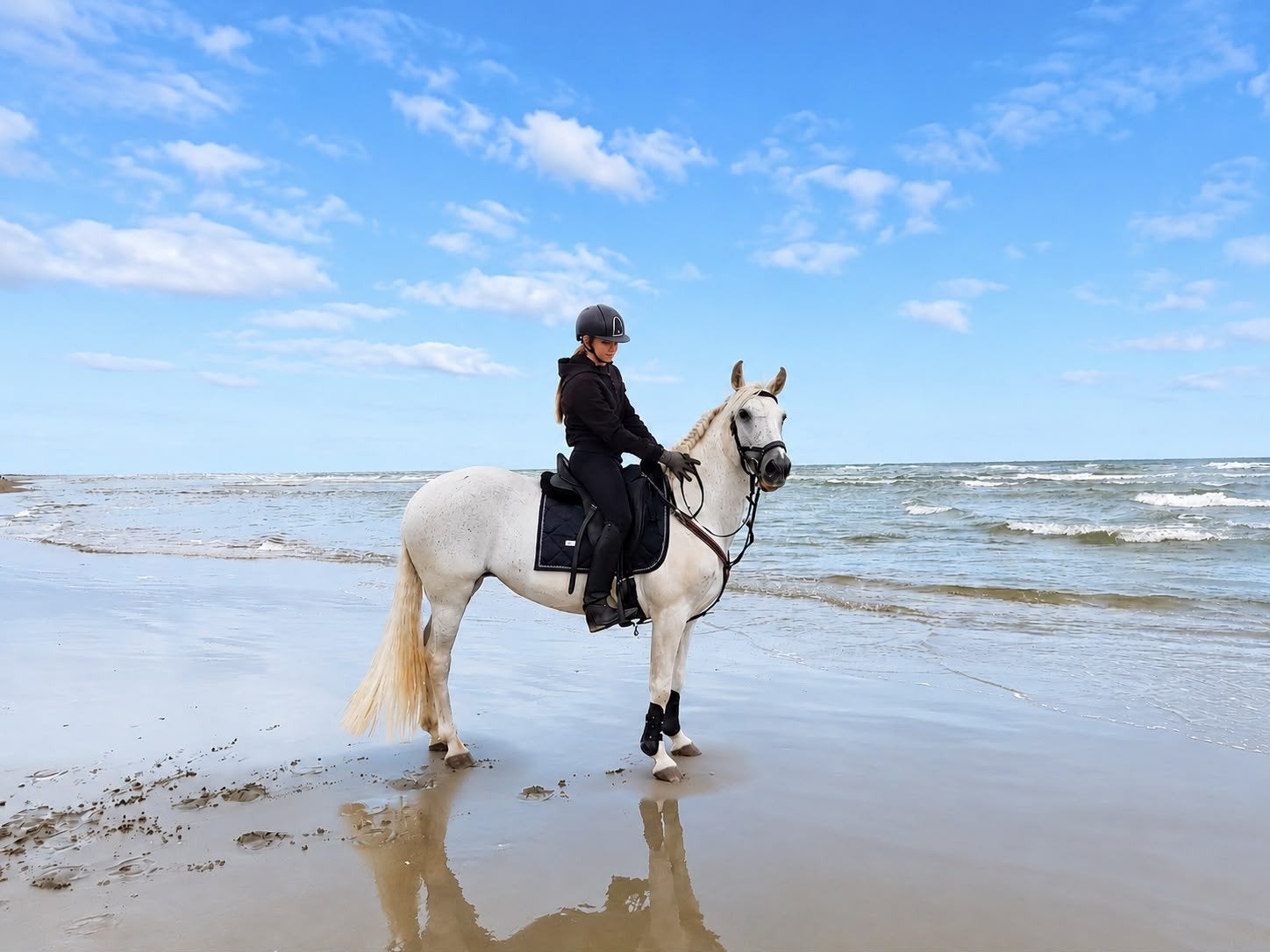 prachtige, superlieve E pony merrie te koop, normale prijskl, Dieren en Toebehoren, Pony's, Merrie, B, E pony (1.48m - 1.57m)