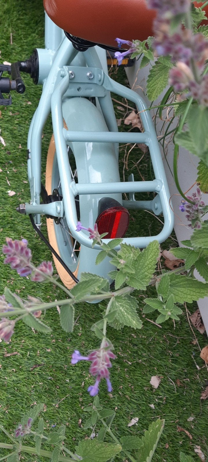 Loopfietsje in een mooie kleur groen met woordje diva erop, Fietsen en Brommers, Fietsen | Kinderfietsjes, Ophalen, Minder dan 16 inch