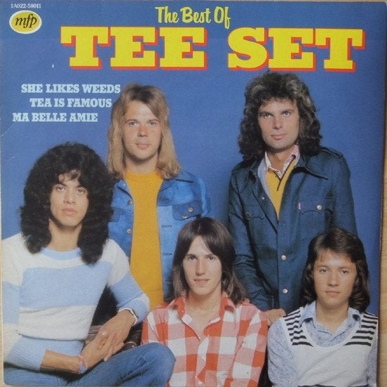 Tee-Set – The Best Of, Gebruikt, Ophalen of Verzenden, 1970 - 1979, 12 inch