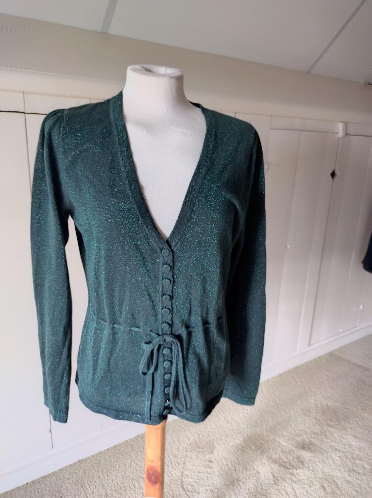 King Louie King Louie vest groen glitter zgan L, Kleding | Dames, Maat 42/44 (L), Ophalen of Verzenden, Zo goed als nieuw, King Louie