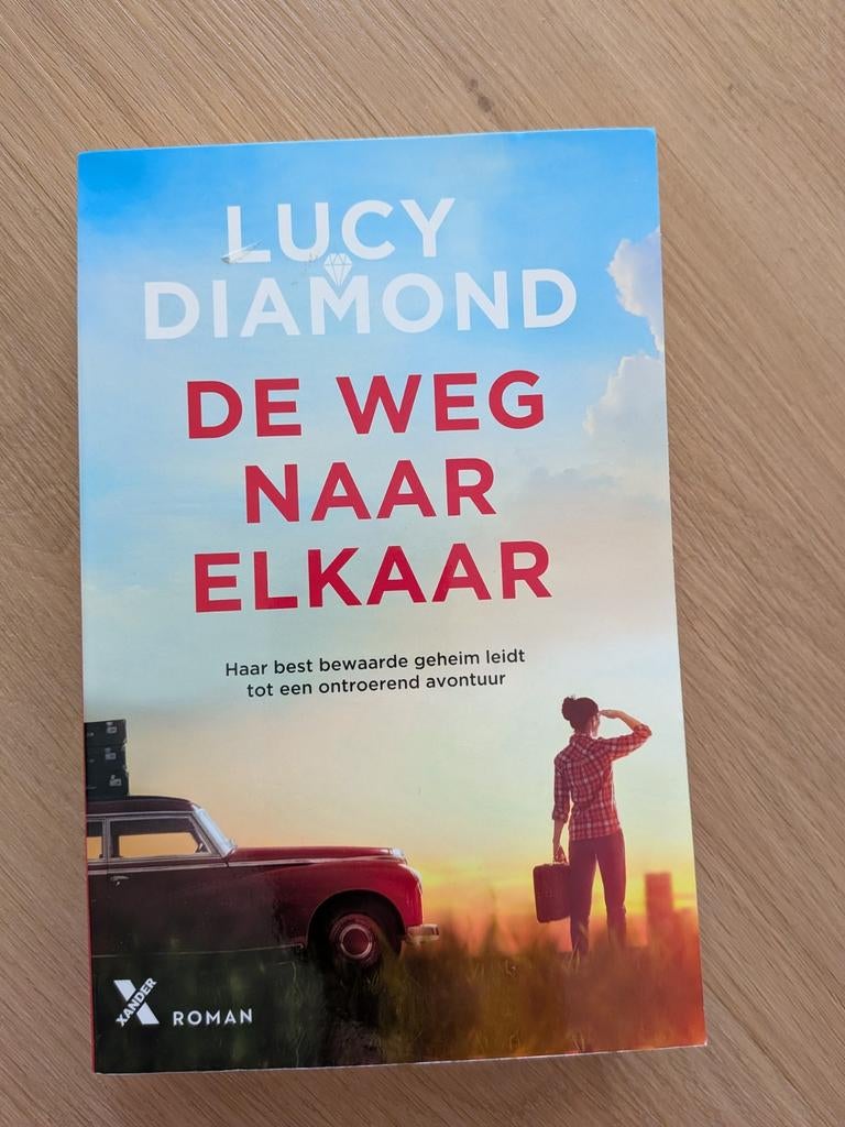 Lucy Diamond, De weg naar elkaar, Boeken, Ophalen of Verzenden, Gelezen