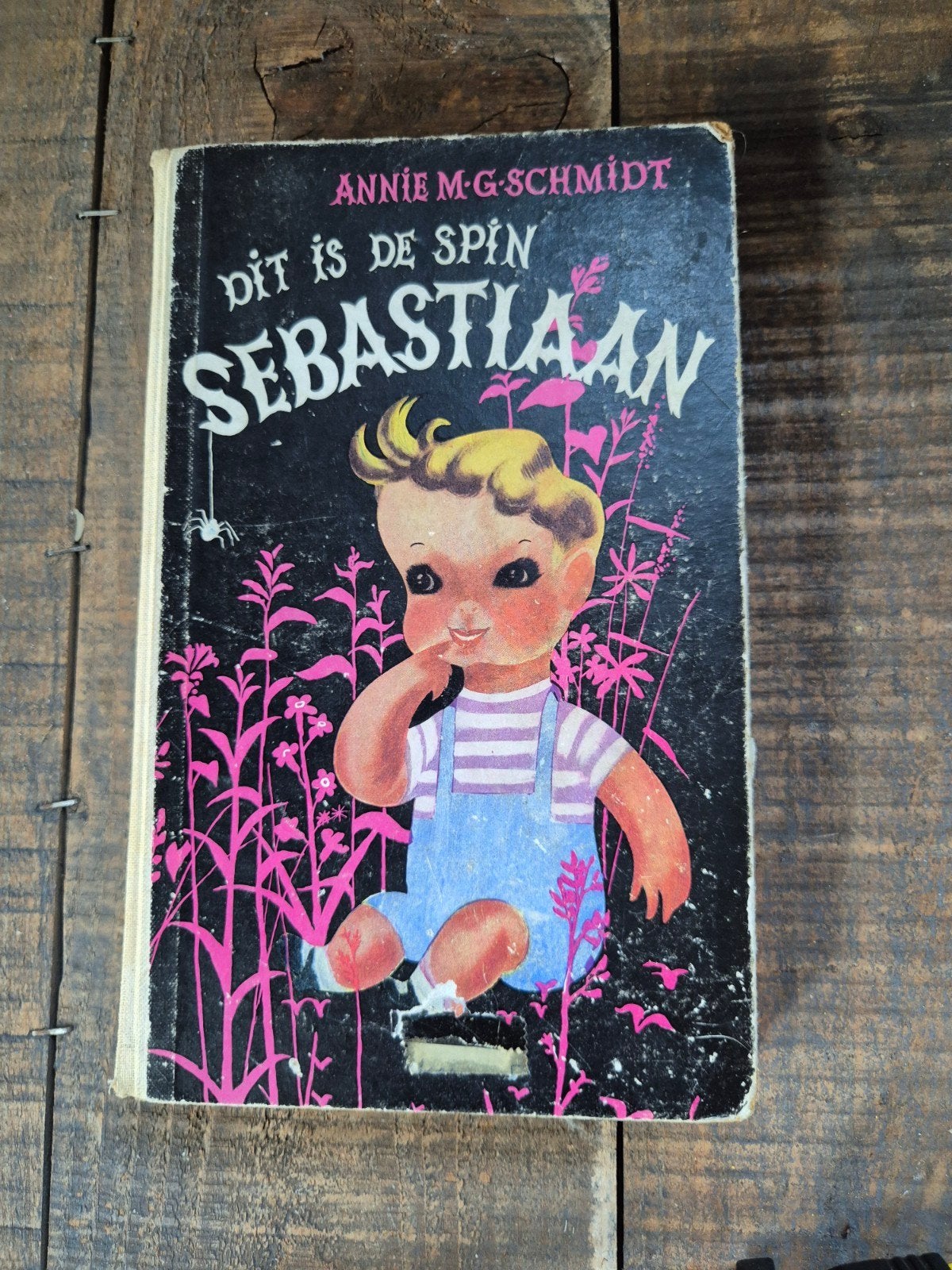 Dit is de spin sebastiaan/annie m.g. schmidt, Ophalen of Verzenden, Fictie algemeen
